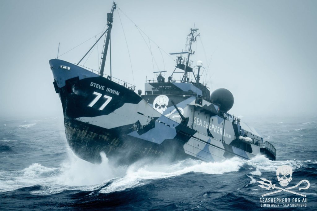 Association Sea Shepherd, défendue par Les Bretz'Ailes pendant OTR 2024