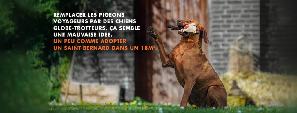 La SPA, association choisie par les Inf'ernales pour le voyage-aventure On The Road a Game 2024